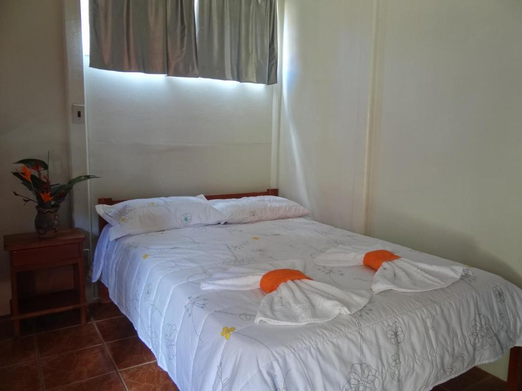 Pousada Chao De Pedra Bonito  Chambre photo